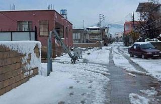 Hatay’da elektrik direkleri ve ağaçlar devrildi