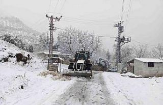 Hatay’da kar yağışı nedeniyle ahır çöktü,...