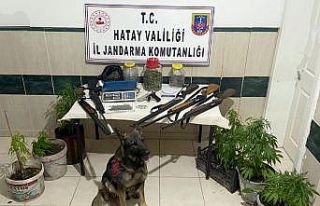 Hatay’da uyuşturucu operasyonu