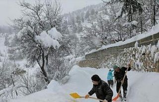 Hayat dondu, çalışanlar yürüyerek işe gitti