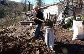 ’Hayvan gübresi’ne talep arttı, fiyatı ikiye...