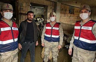 Hayvan hırsızları jandarmadan kaçamadı