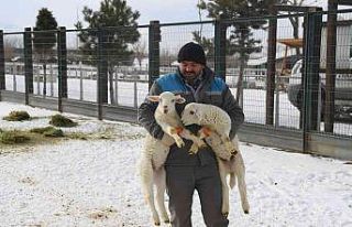 Hayvanat Bahçesi sakinlerine kışa özel bakım