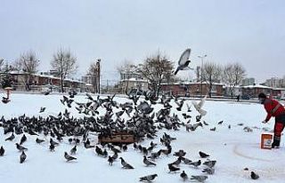 Hayvanseverlerden Başkan Çolakbayrakdar’a teşekkür