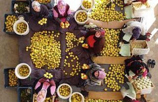 Her aşamasında onlar çalışıyor, kadınların...