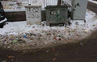 Her yer açık, Çankaya kapalı