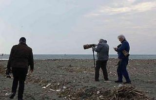 Herkes fotoğrafını çekmek için koştu