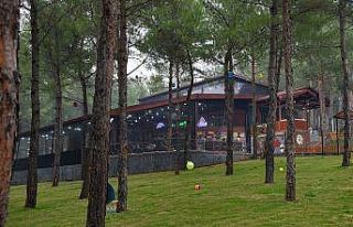 Heyecan Kafeye yoğun ilgi