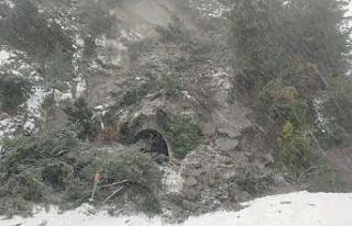 Heyelan nedeniyle tren seferleri iptal edildi