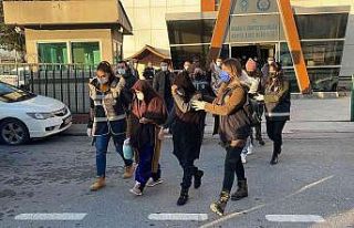 Hırsızlık çetesi operasyonunda 38 kişi tutuklandı