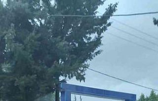 Hırsızlık suçundan aranan şahıs, jandarma operasyonuyla...