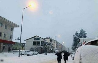 Hizan’da okullar tatil edildi