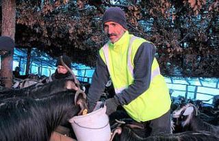 Huzur ve güven ortamıyla köyüne geri dönen çiftçinin...