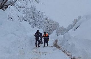 İçme suyu kaynağının üzerine çığ düştü,...