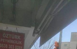 Iğdır’da dışarıda satışa sunulan etleri köpek...