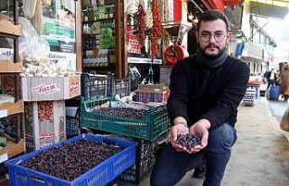 İki senede bir yetişiyor, faydası saymakla bitmiyor
