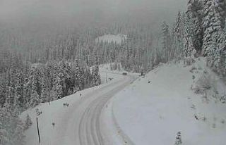 Ilgaz Dağı kar altında kaldı