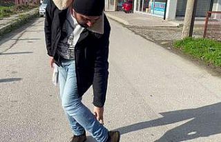 İşe gitmek için evinden çıktı, 4 tane köpeğin...