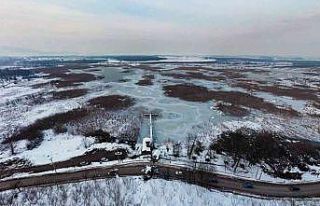 İsmini Bizans prensesinden alan Efteni Gölü dondu