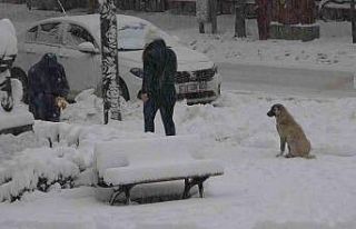 Isparta’da aniden bastıran kar kalınlığı 15...
