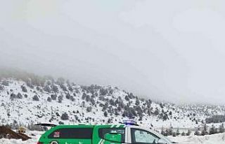 Isparta’da HAYDİ ekipleri sokak hayvanlarını...