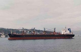 İstanbul Boğazında makine arızası yaşaya gemi...