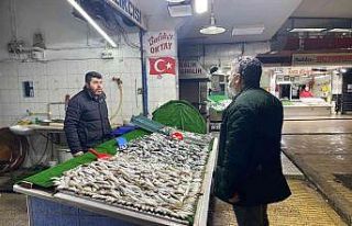 İstavrit yoğunluğu balıkçıların yüzünü güldürdü