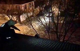 İtfaiyeden çatıdaki kediyi kurtarma operasyonu