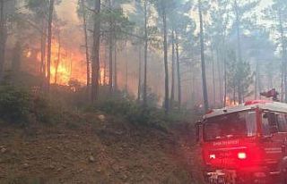 İzmir İtfaiyesi 11 bin 718 yangınla mücadele etti