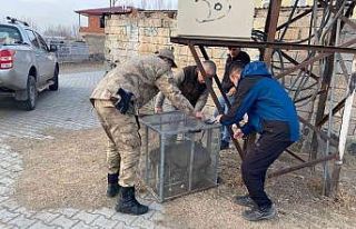 Jandarma personeli tarafından başıboş bulunan...