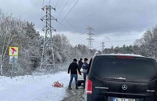Jandarma sokak hayvanlarını besledi