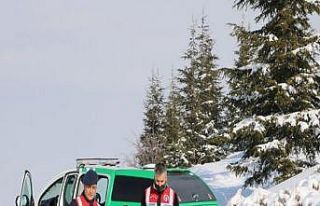 Jandarma sokak hayvanlarını ve yılkı atlarını...