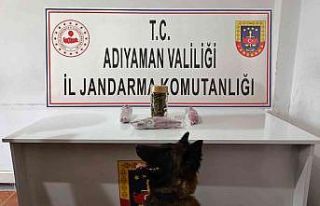 Jandarma uyuşturucuya geçit vermiyor