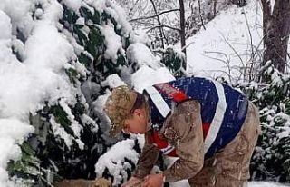 Jandarma ve polis ekipleri, sokak hayvanlarını unutmadı