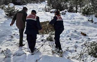 Jandarma yaban hayvanları unutmadı