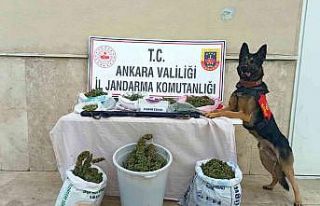 Jandarma zehir tacirlerine geçit vermedi