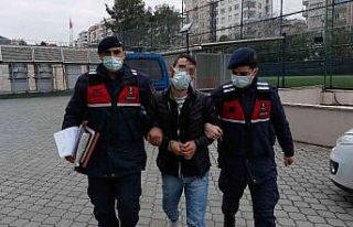 Jandarmadan uyuşturucu operasyonu: 1 gözaltı