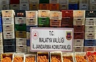 JASAT suçlulara göz açtırmadı