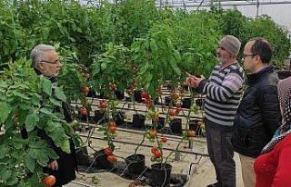 Jeotermal kaynaklı seralarda dönem kontrolleri