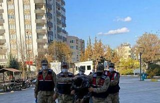 Kablo hırsızlarına jandarmadan darbe