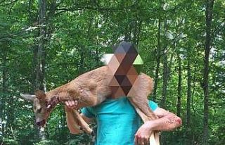 Kaçak avcılığa geçit yok