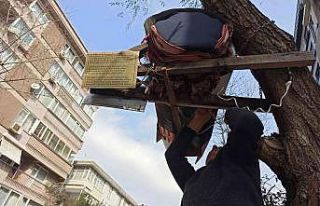 Kadıköy’de Laz bakkalın sosyete arıları elektrikli...
