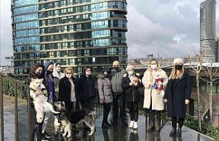 Kadıköy’de lüks sitede köpek besleyen hayvansevere...