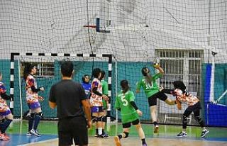 Kadınlar Hentbol 2. Ligi: Elazığ Gençlikspor:...