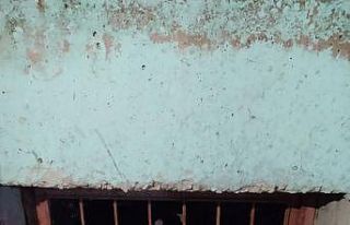 Kafası demir korkuluklara sıkışan köpek kurtarıldı