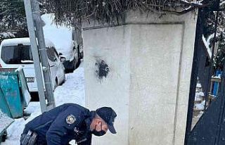 Kağıthane polisi soğuk havada sokak hayvanlarını...