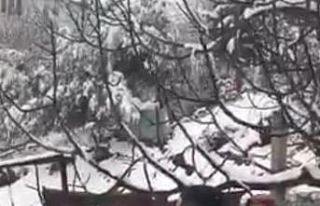 Kahramanmaraş’ta kardan gelin yaptılar