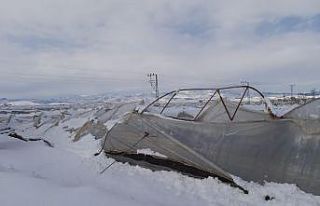 Kahramanmaraş’ta seralar karda zarar gördü