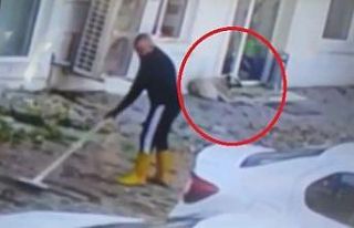 Kaldırımı temizlerken köpeğin saldırısına...