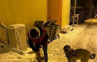 Kale’nin genç Alperenleri sokak hayvanlarını...